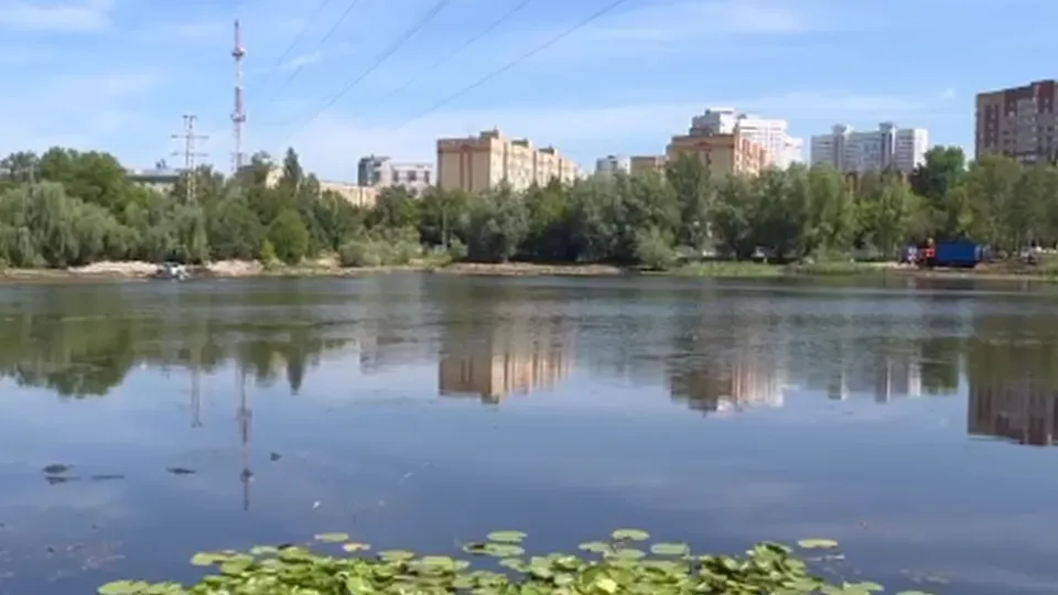 Фото: t.me/artem_sadula