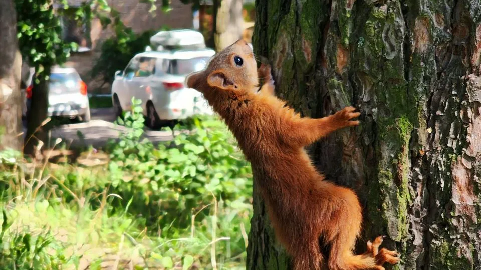 Фото: МедиаБанк Подмосковья/Мария Панина
