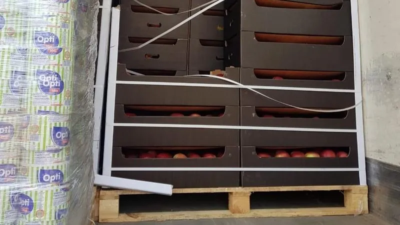 Тридцать шесть тонн польских яблок пытались провезти под видом туалетной бумаги