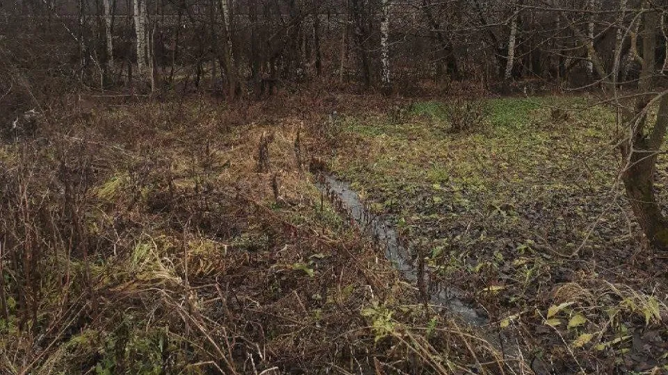 Фото: Министерство экологии и природопользования Московской области