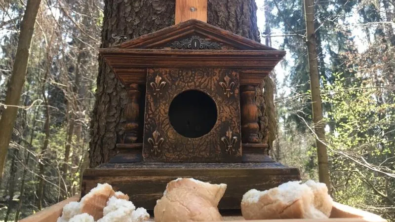 Кормушку для птиц из старинных часов сделал солнечногорец