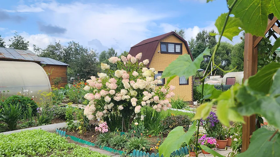 Фото: МедиаБанк Подмосковья/Екатерина Мелкозерова