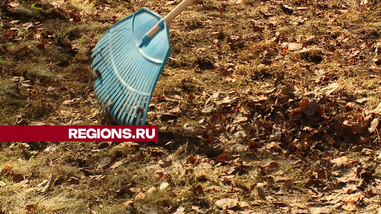 Фото: REGIONS/Ксения Казакова