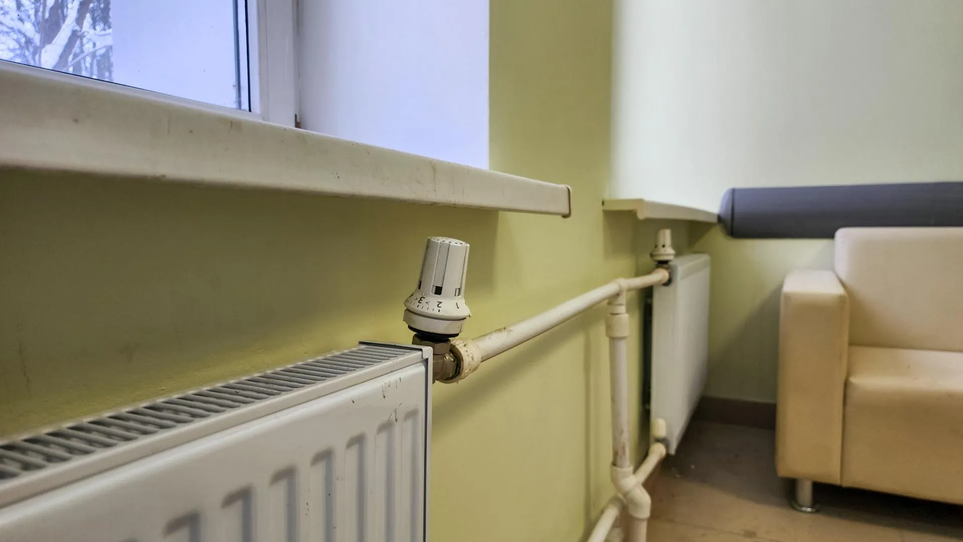 Фото: REGIONS/Мария Андрюхина