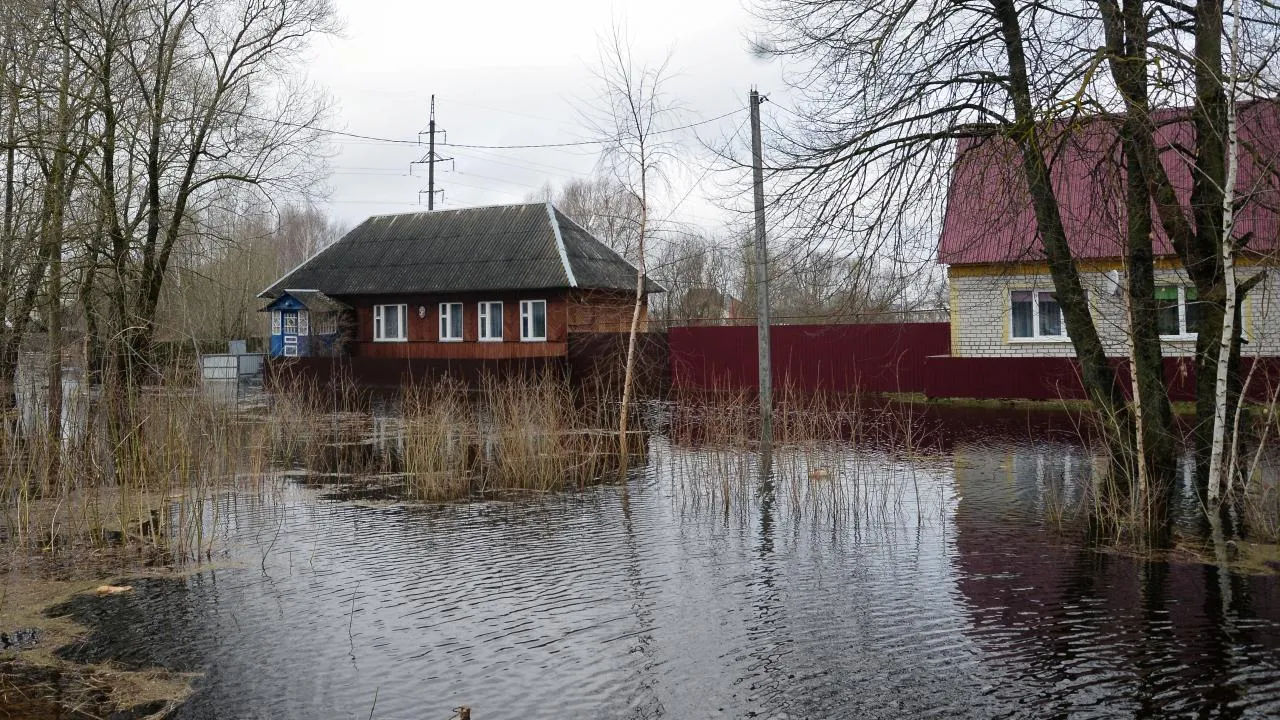 РИА Новости/Маргарита Матвеенкова
