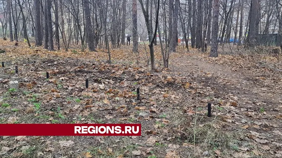 Фото: Сергей Домин