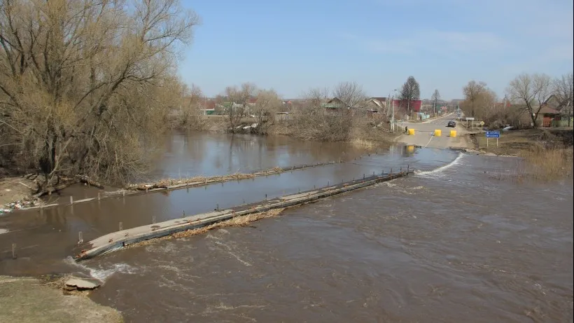 Фото: фотобанк Московской области, Ярослава Ефимова