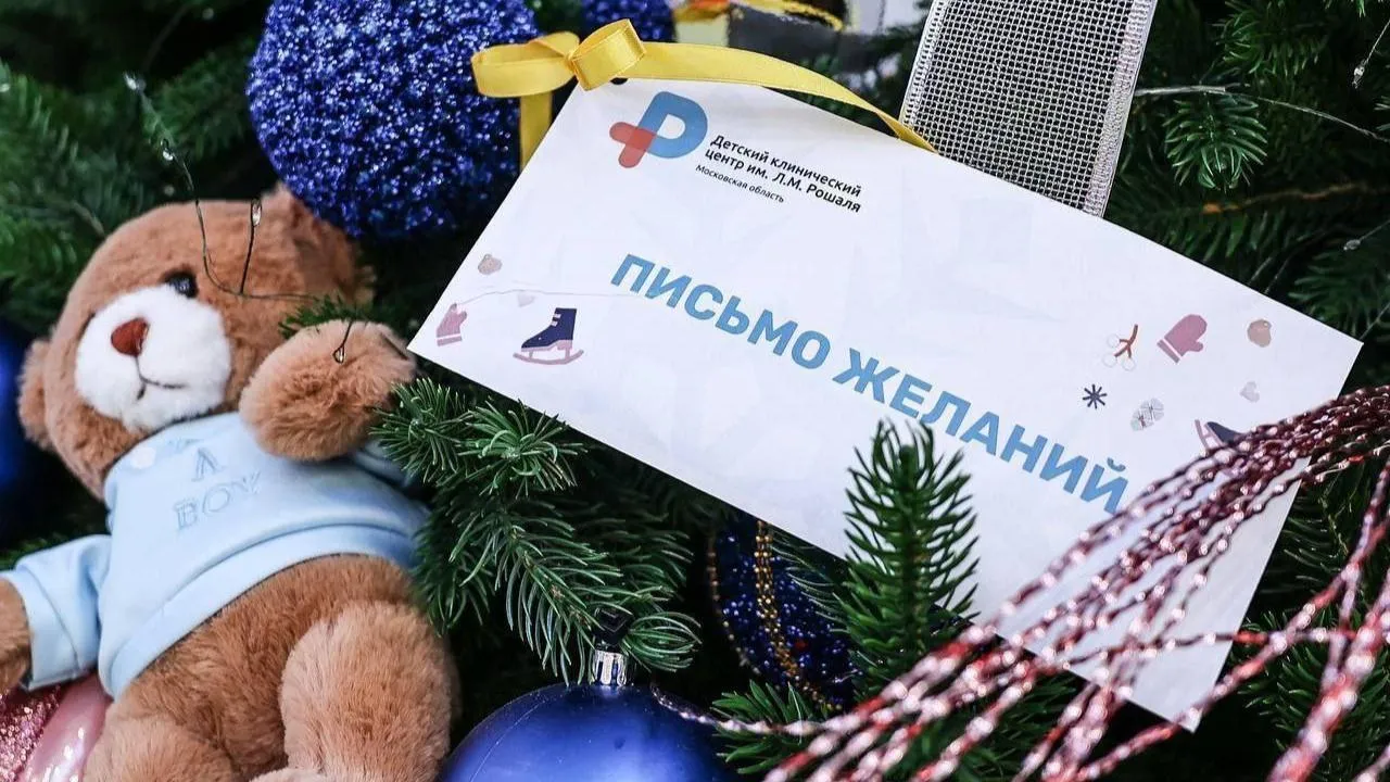 Благотворительная акция «Елка желаний» прошла в Центре имени Л. М. Рошаля