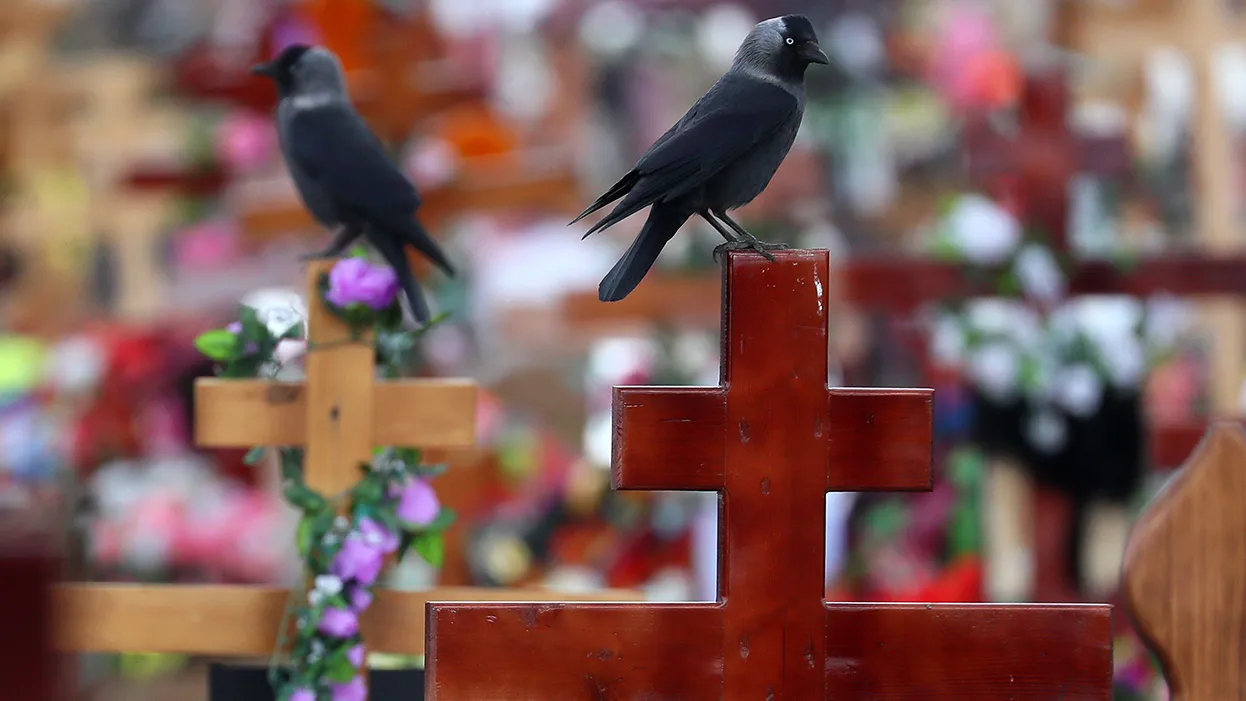 Фото: ТАСС/Владимир Смирнов