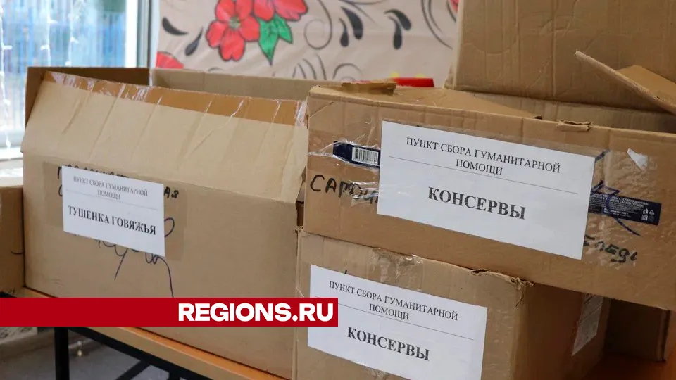 Фото: REGIONS/Василий Тремасов