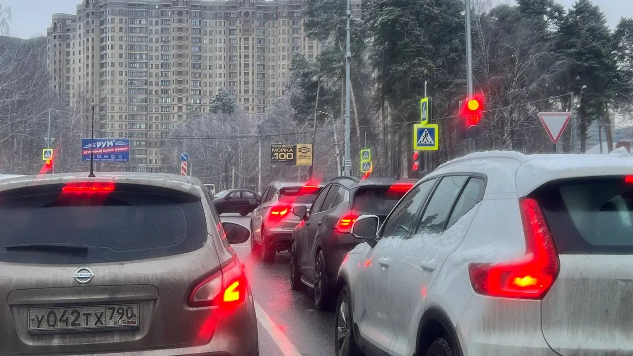 Фото: Елена Фурман