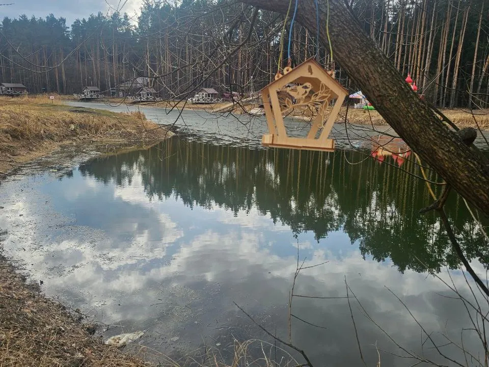 Фото: t.me/drozhzhinobutovopark2 Надежда Россейчук