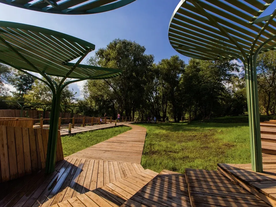 Фото: пресс-служба губернатора и правительства Московской области