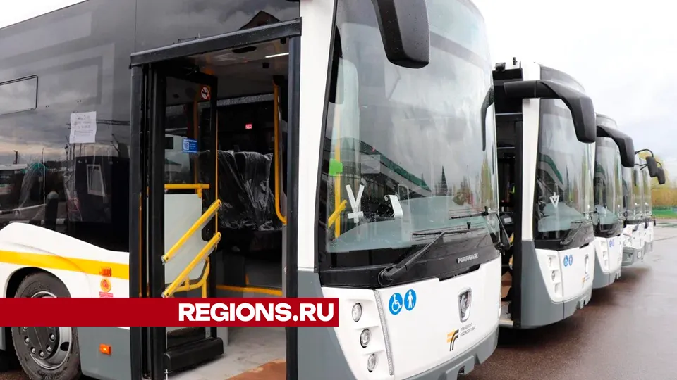 Фото: REGIONS/Василий Тремасов