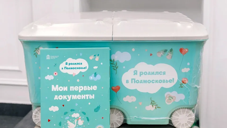 Фото: пресс-служба губернатора и правительства Московской области