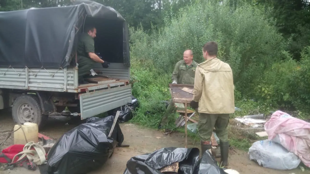 Фото: Комитет лесного хозяйства Московской области