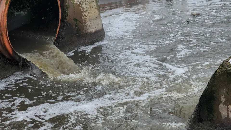 Фото: МедиаБанк Подмосковья/Никита Сморкалов