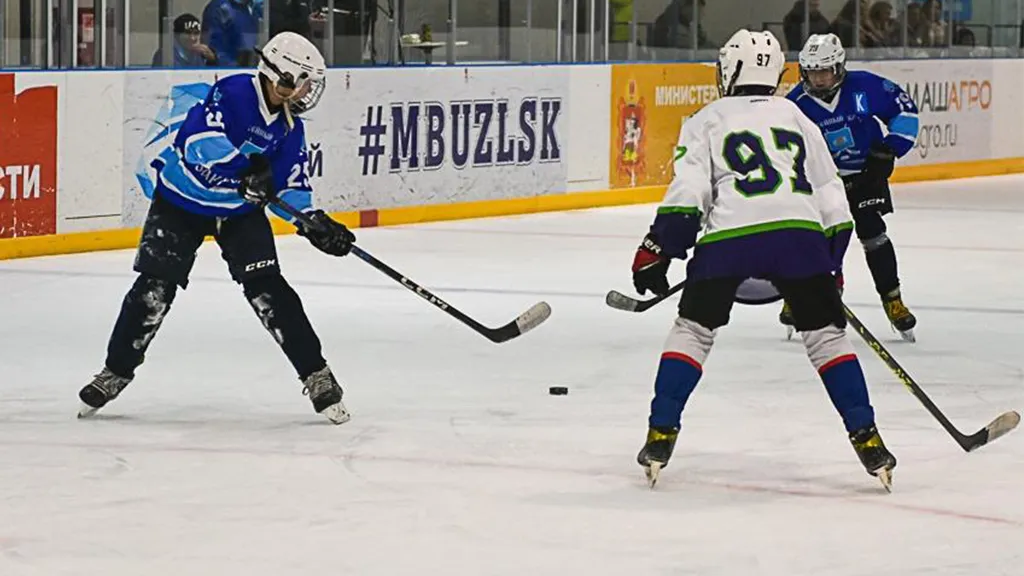 Фото: Зарайский ледовый спортивный комплекс