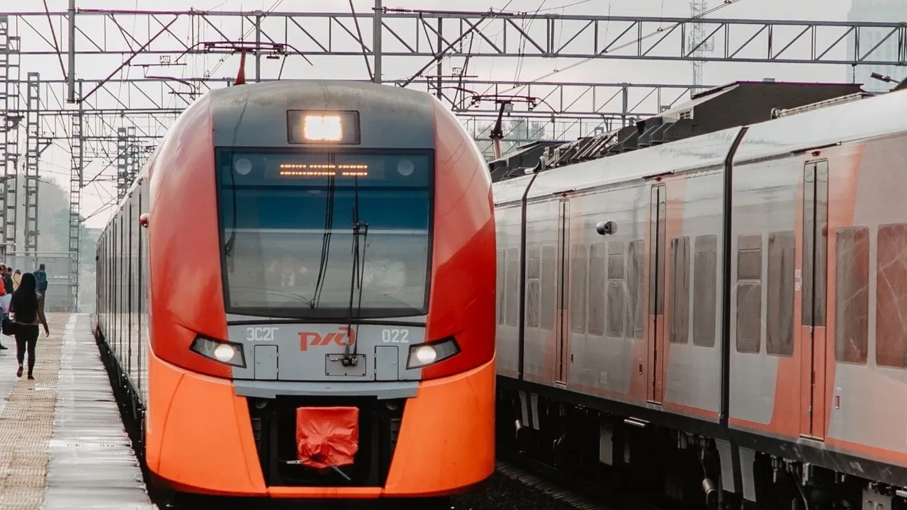 Фото: пресс-служба администрации г.о. Химки