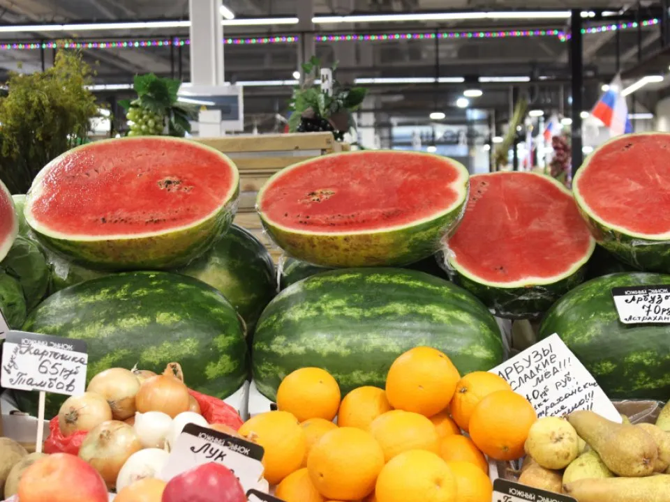 Фото: REGIONS/Анастасия Широкая