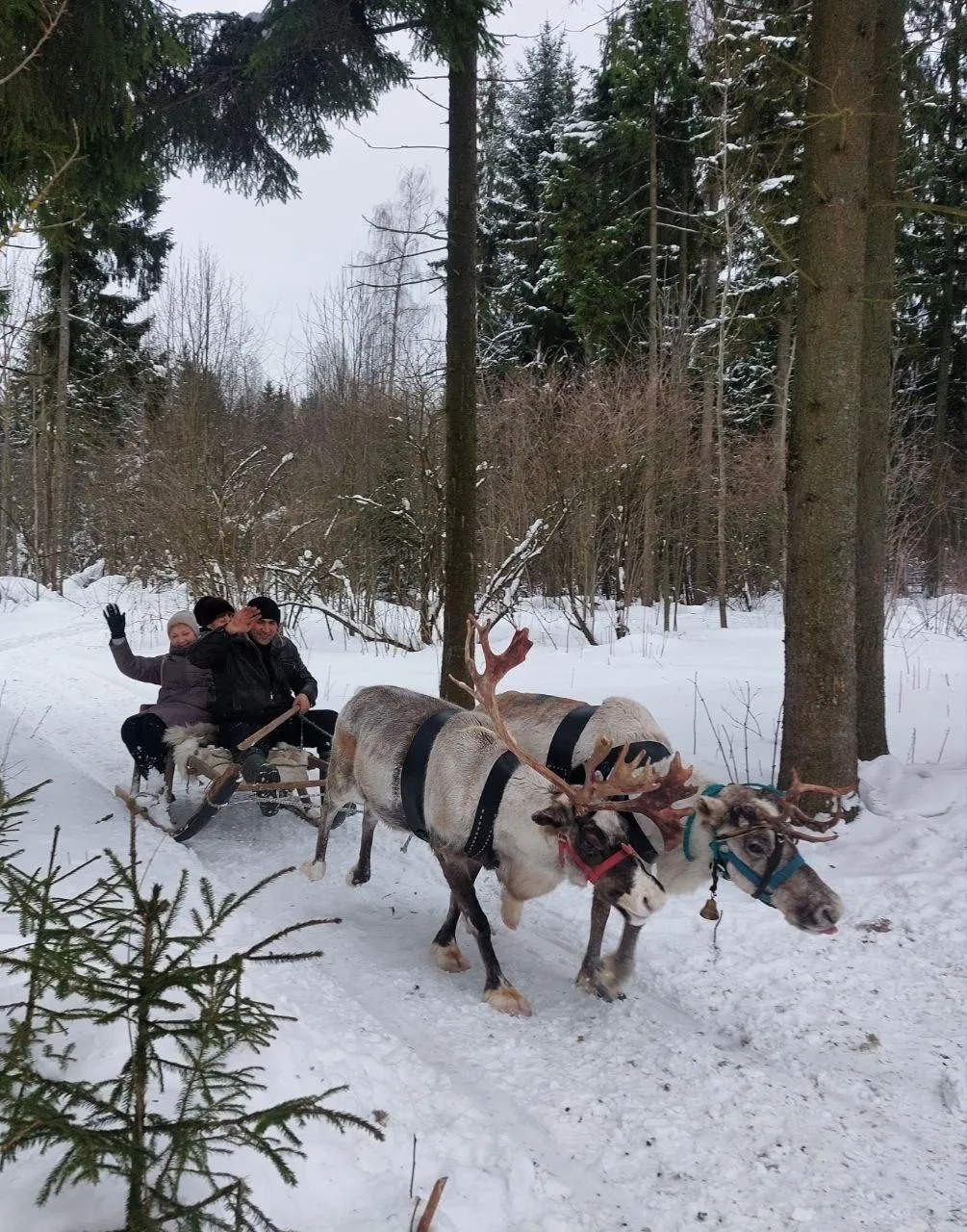 Фото: Минсоцразвития МО