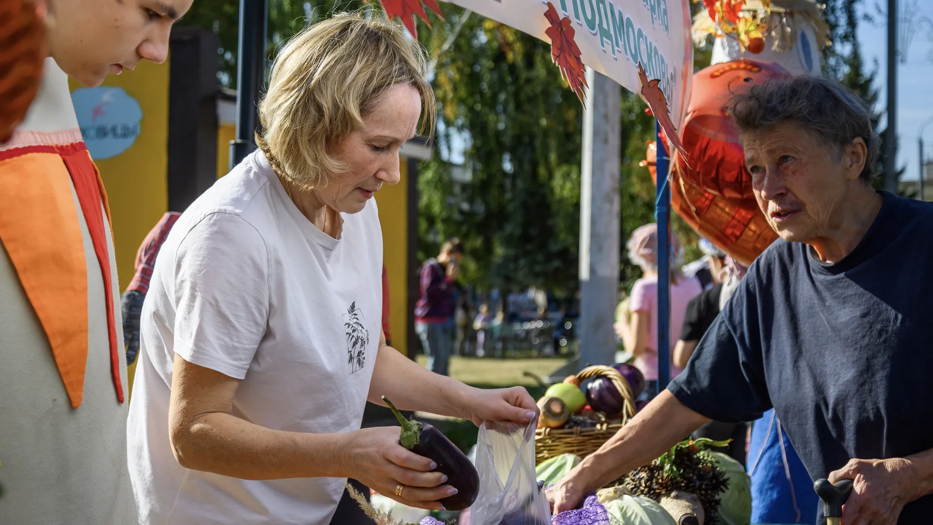 Фото: медиасток.рф