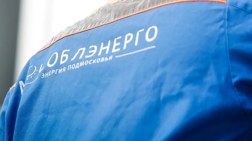 Фото: пресс-служба администрации г.о. Кашира