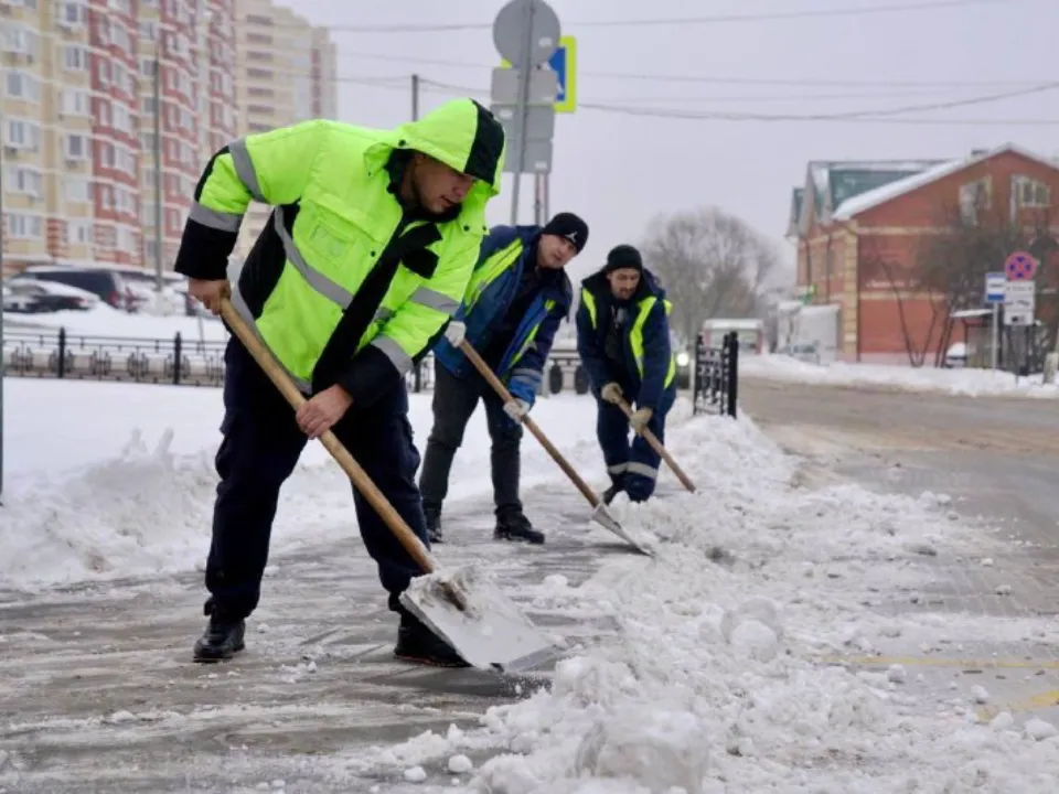 Фото: пресс-служба администрации г. о. Домодедово&nbsp;
