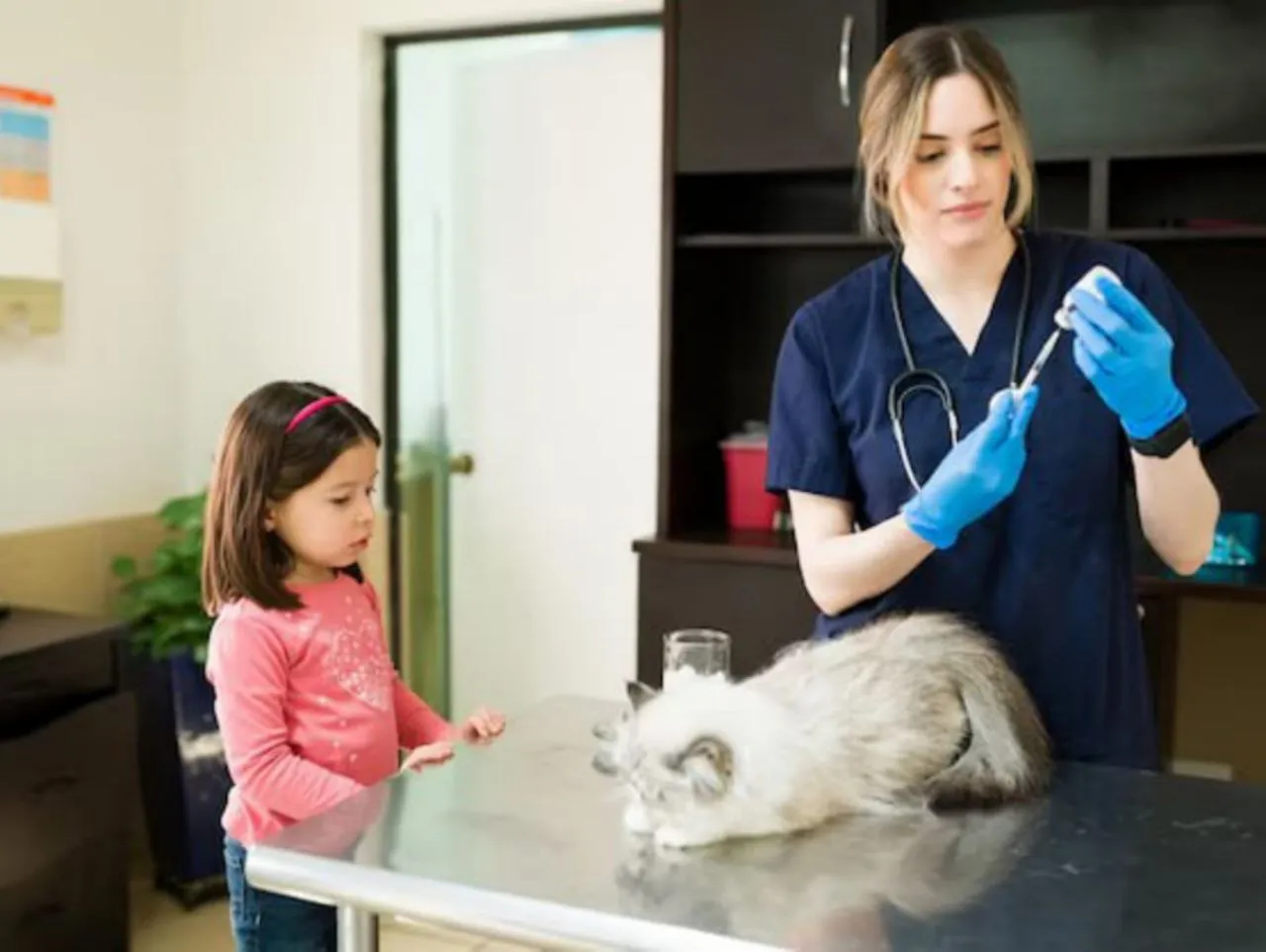 Фото: freepik.com