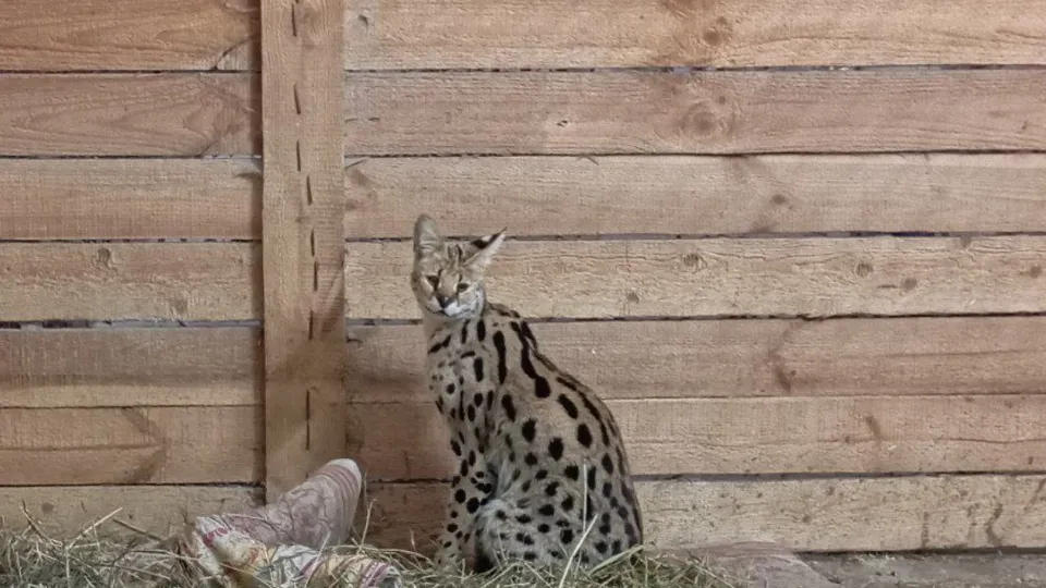 Фото: Алина Тлеукулова