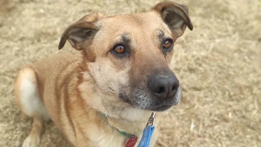 Фото: Подслушано Истра (новая) / ВКонтакте