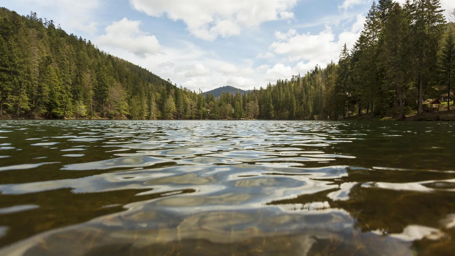 медиасток.рф