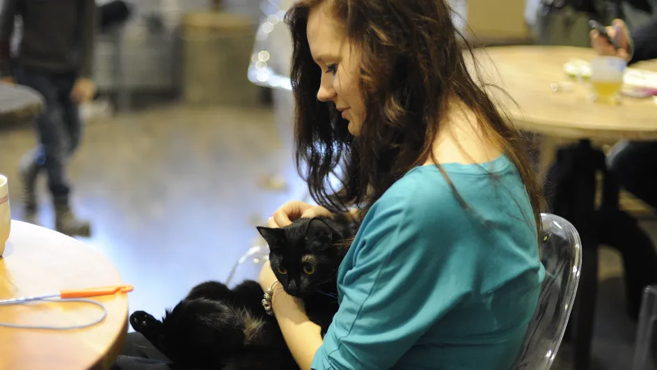 Фото: медиасток.рф