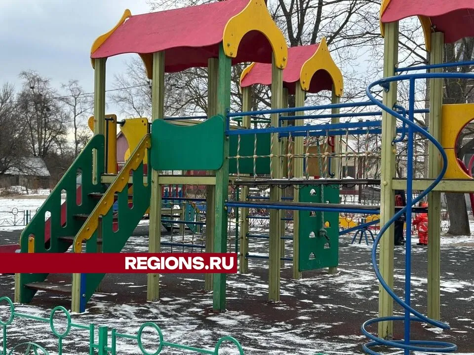 Фото: Светлана Плотникова