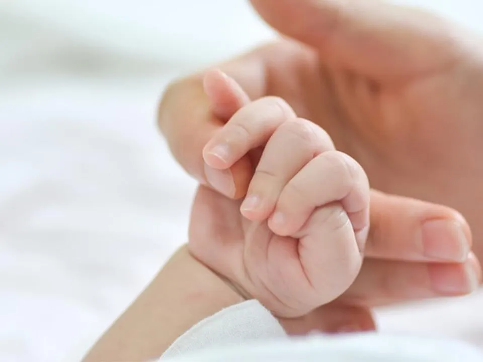 «Делаем все, чтобы молодежь захотела рожать»: в Госдуме рассказали, как собираются сохранить и приумножить население РФ