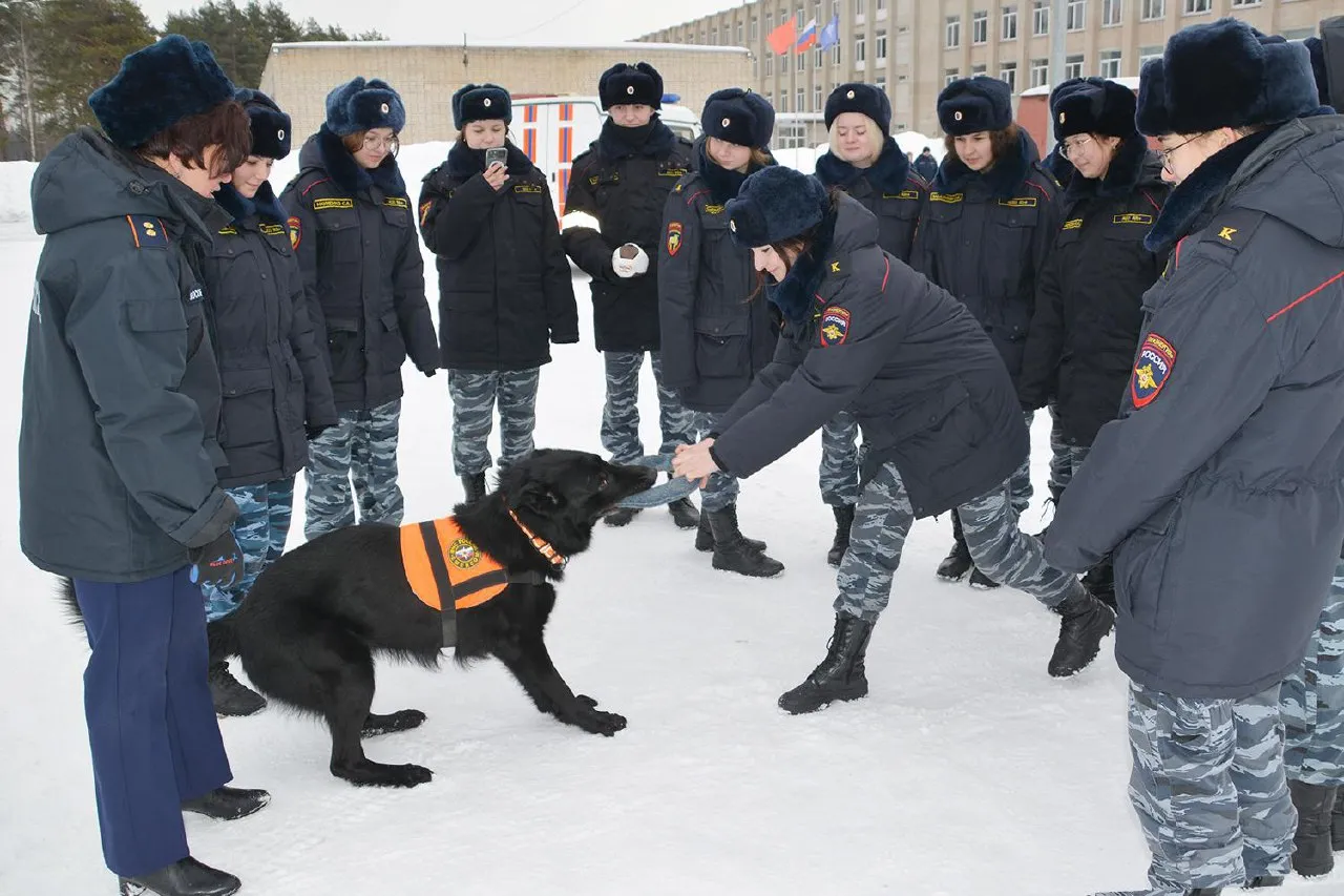 Фото: ГКУ МО «Мособлпожспас»