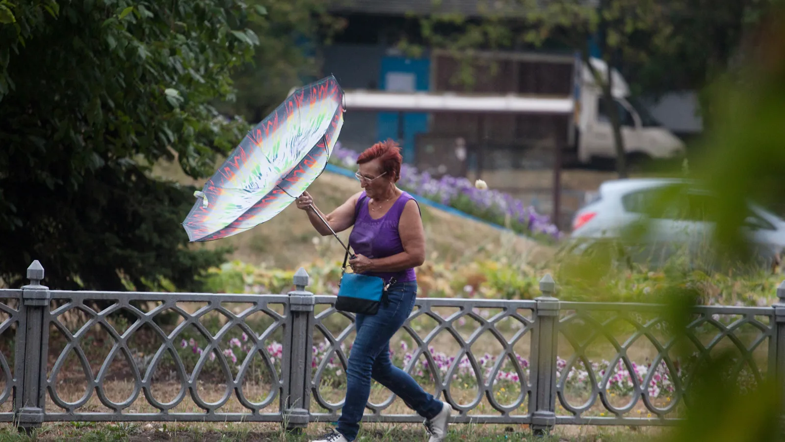 Фото: медиасток.рф