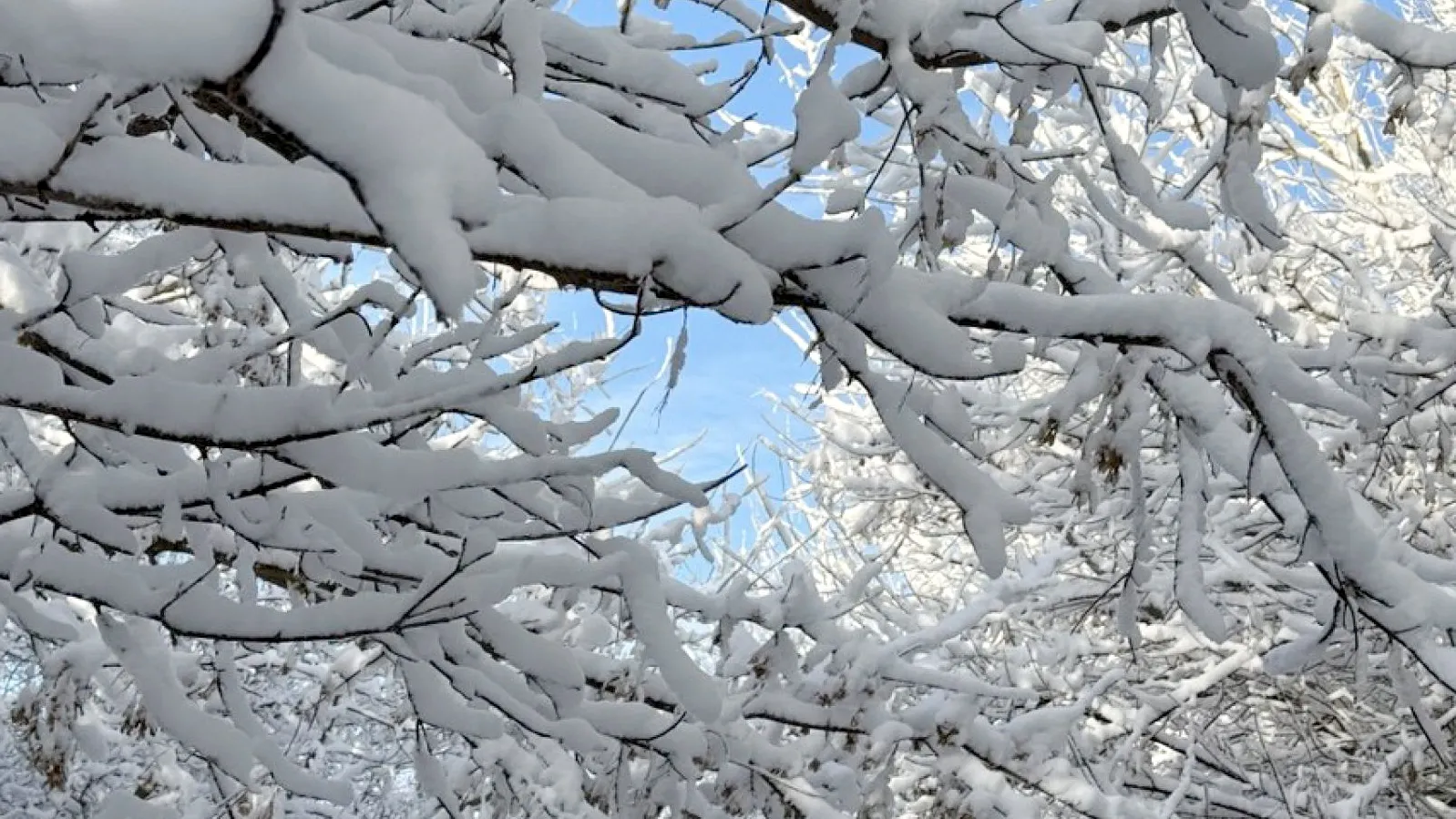 Фото: REGIONS/Дарина Левкина