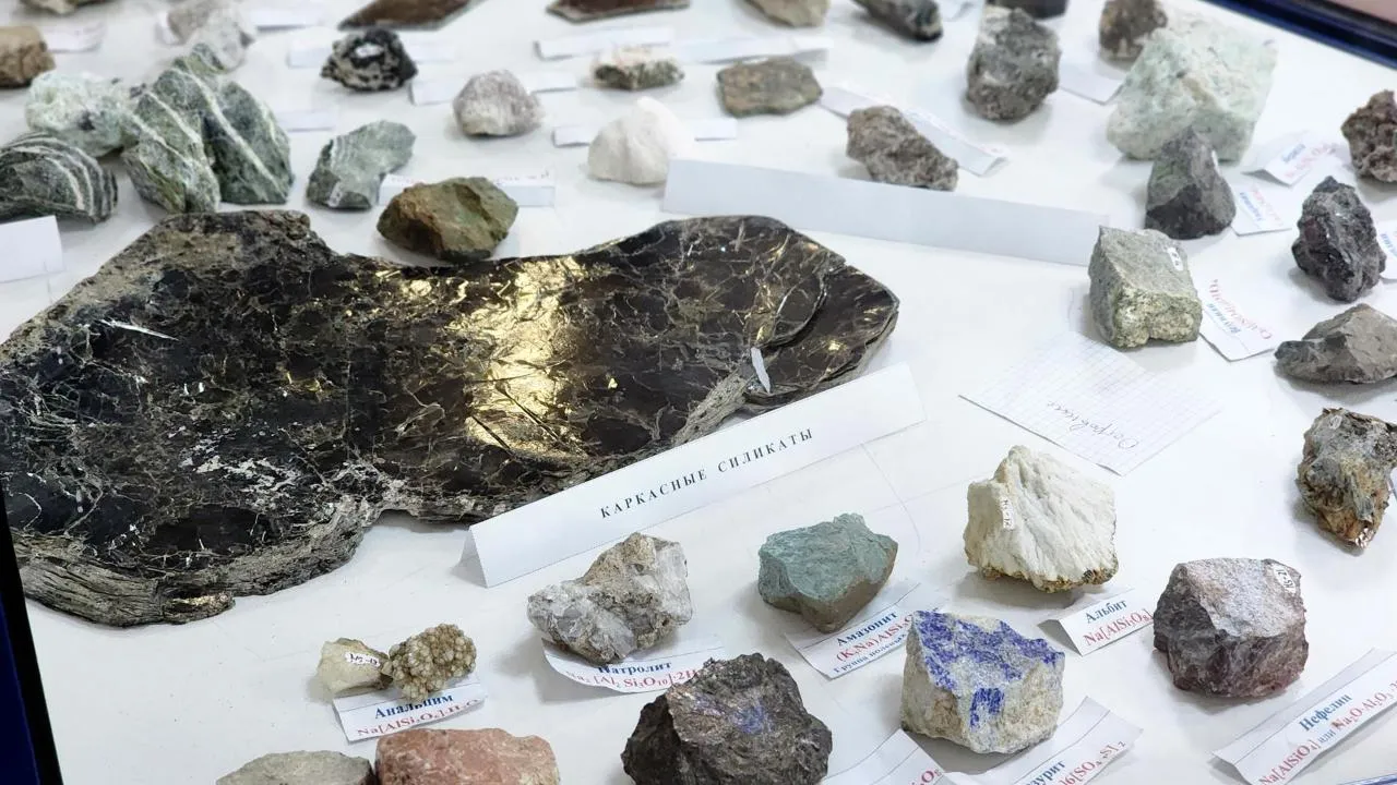 REGIONS/Полина Пахомова