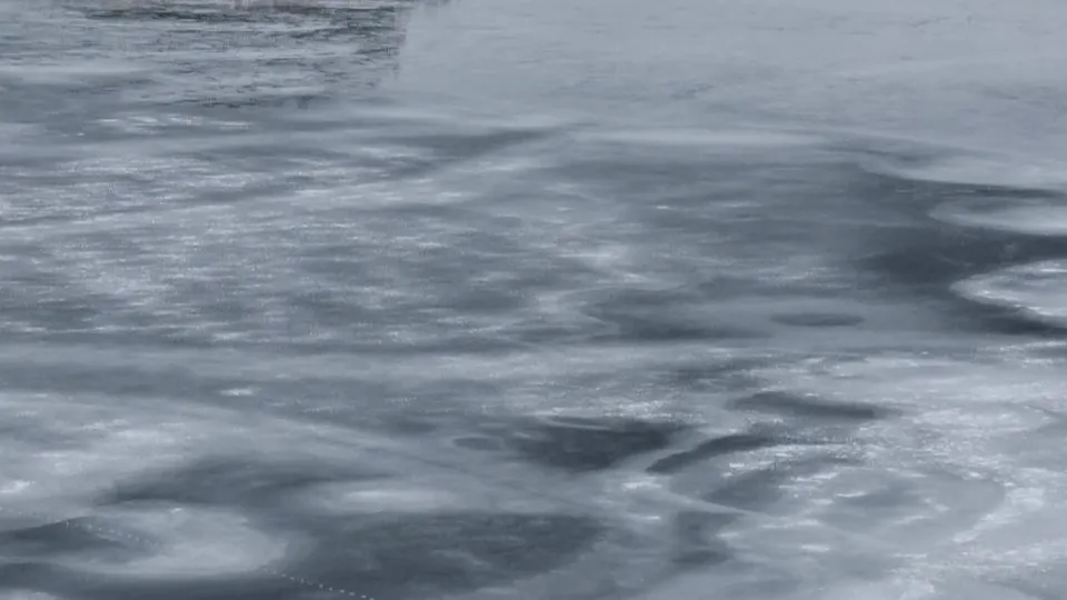 Фото: Александра Загороднова