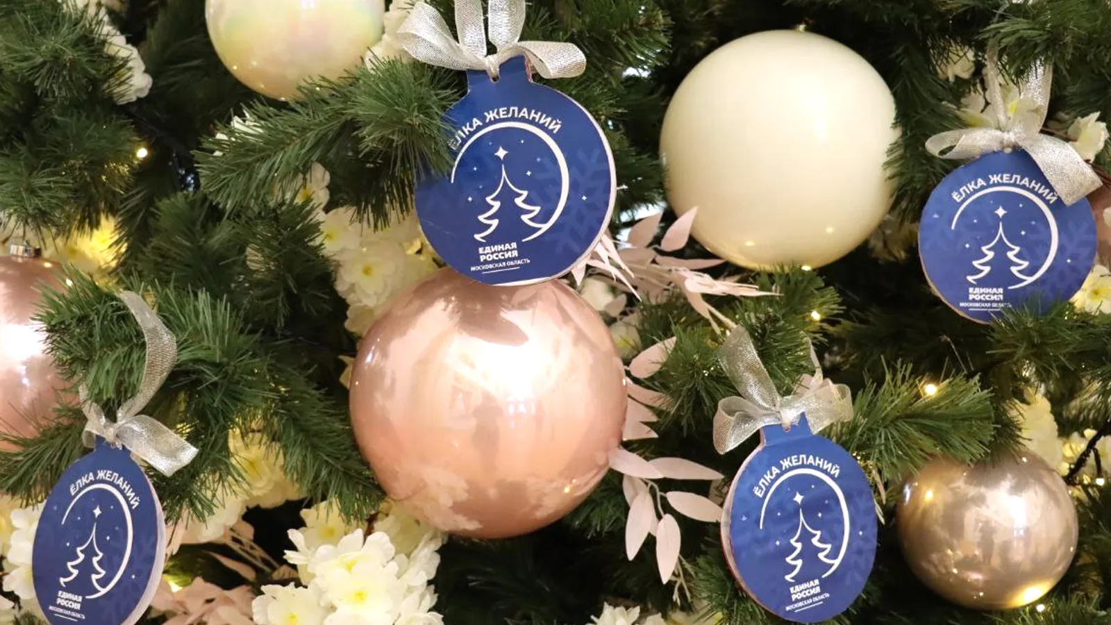 Фото: пресс-служба админитрации г.о. Ступино