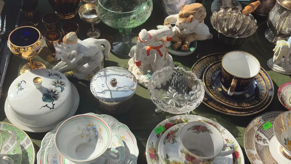 Фото: МедиаБанк Подмосковья/Анна Нестерова