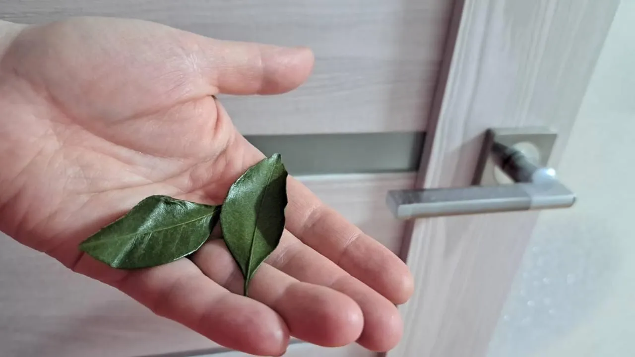 REGIONS/Татьяна Замятина