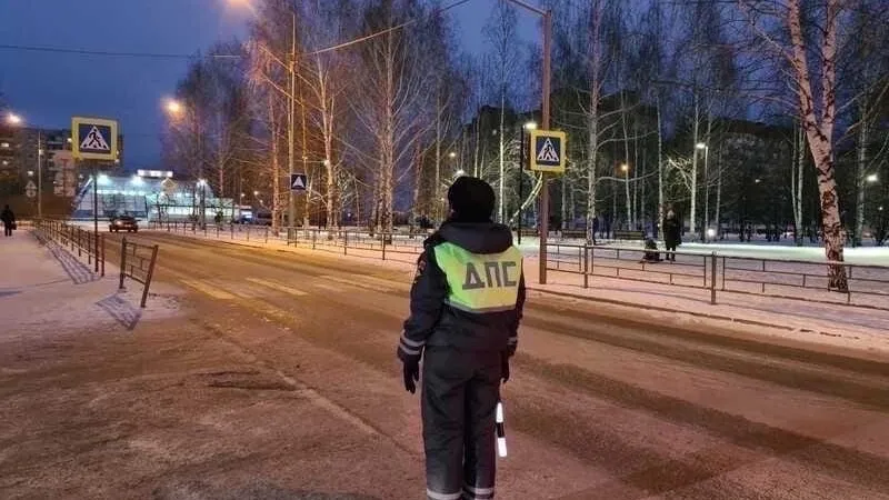 Фото: Пресс-служба ОМВД России по г.о. Ступино