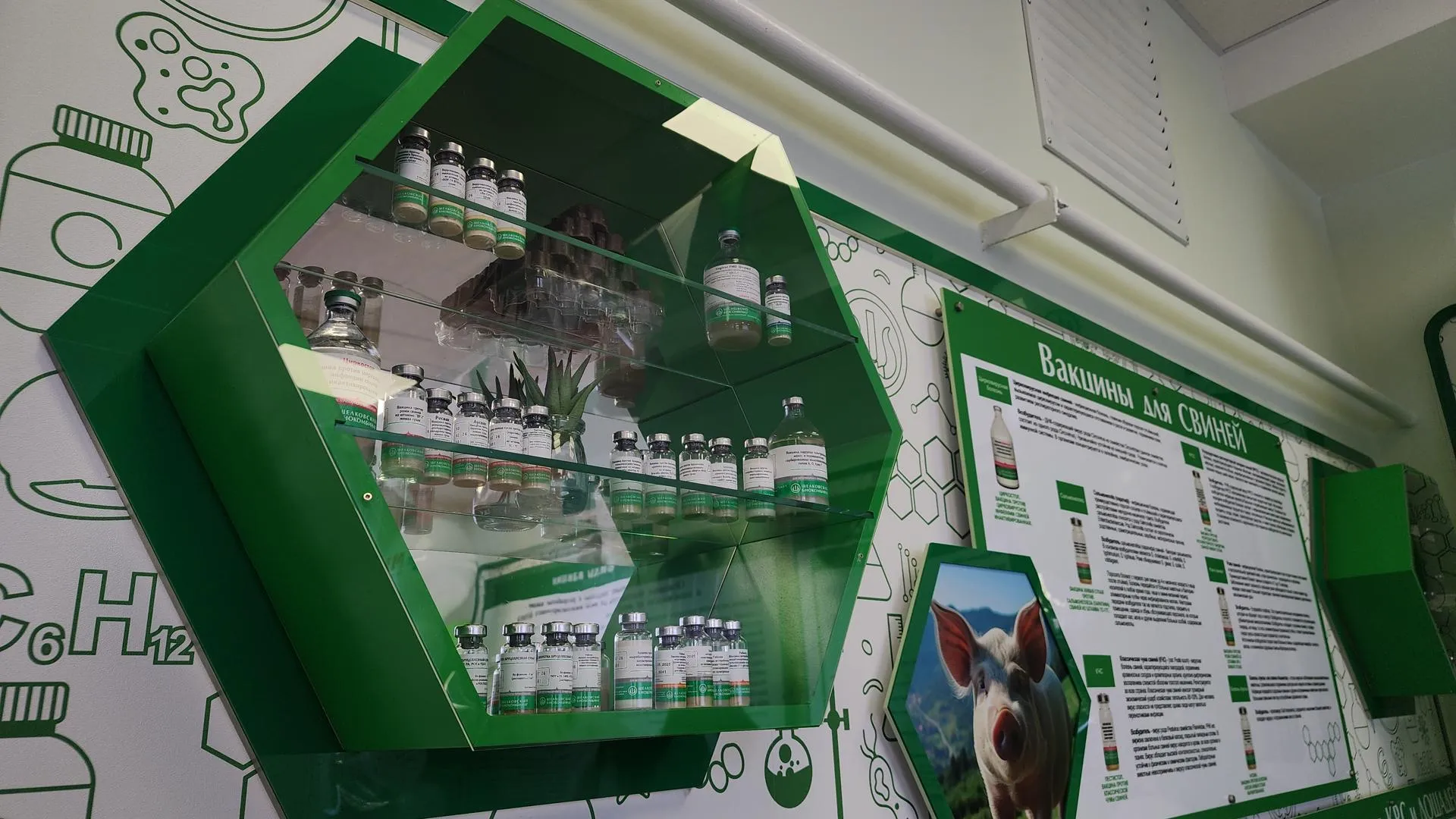 Валерия Тингаева