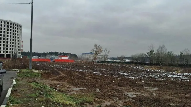 Незаконную свалку уничтожили в Королеве