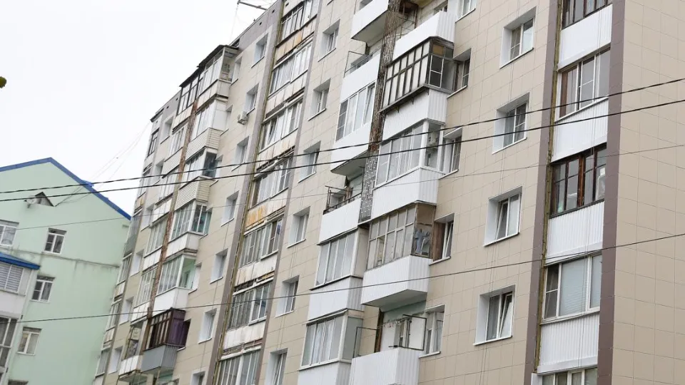 Фото: пресс-служба администрации Дмитровского м.о.