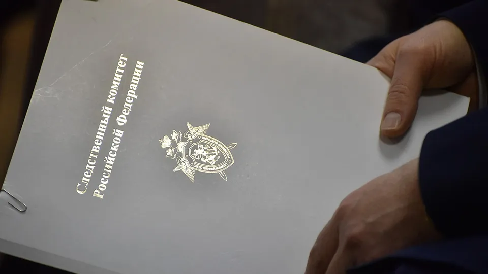 Фото: Медиаархив Подмосковья