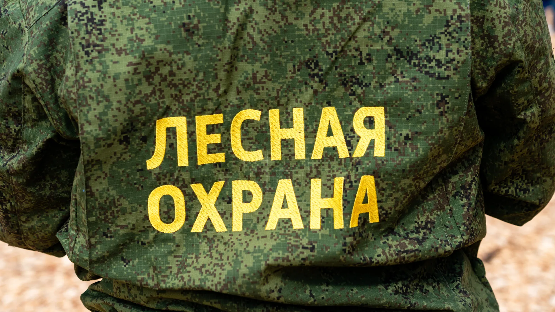 Деревья высадили в Рузском округе в рамках акции «Сад Памяти» ко Дню Победы