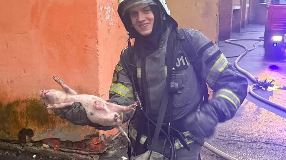 Фото: ГКУ МО «Мособлпожспас»